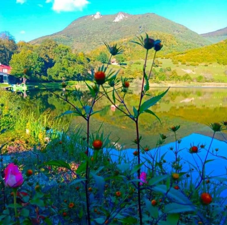Villa Dolina Plive Jezero  Esterno foto